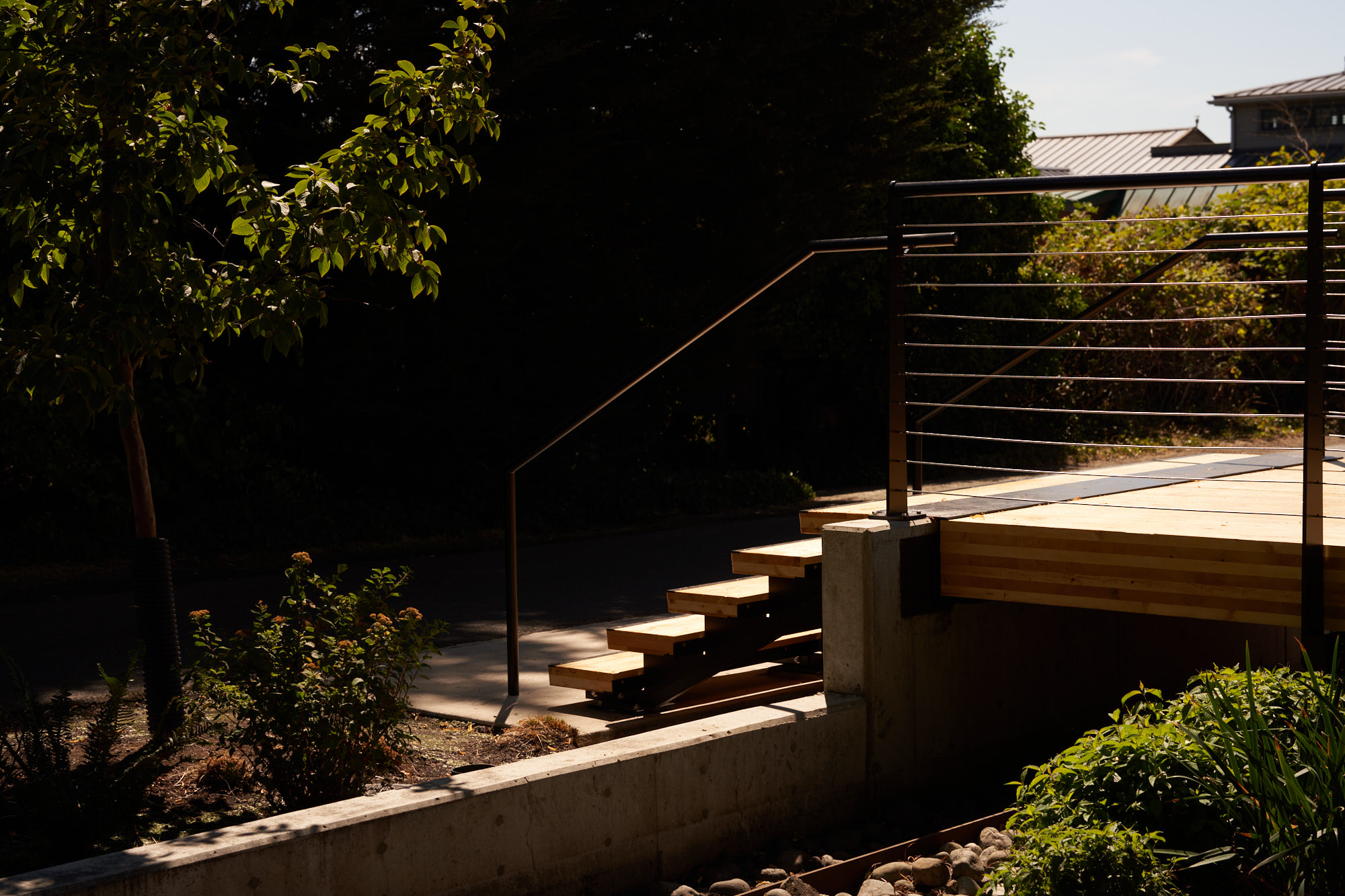 Looking down the steps.