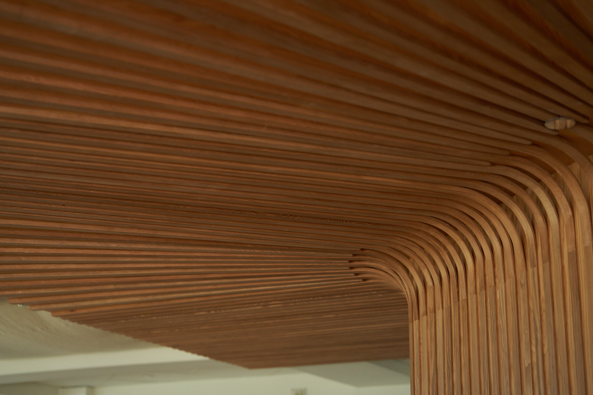 Full Radius Ceiling Details